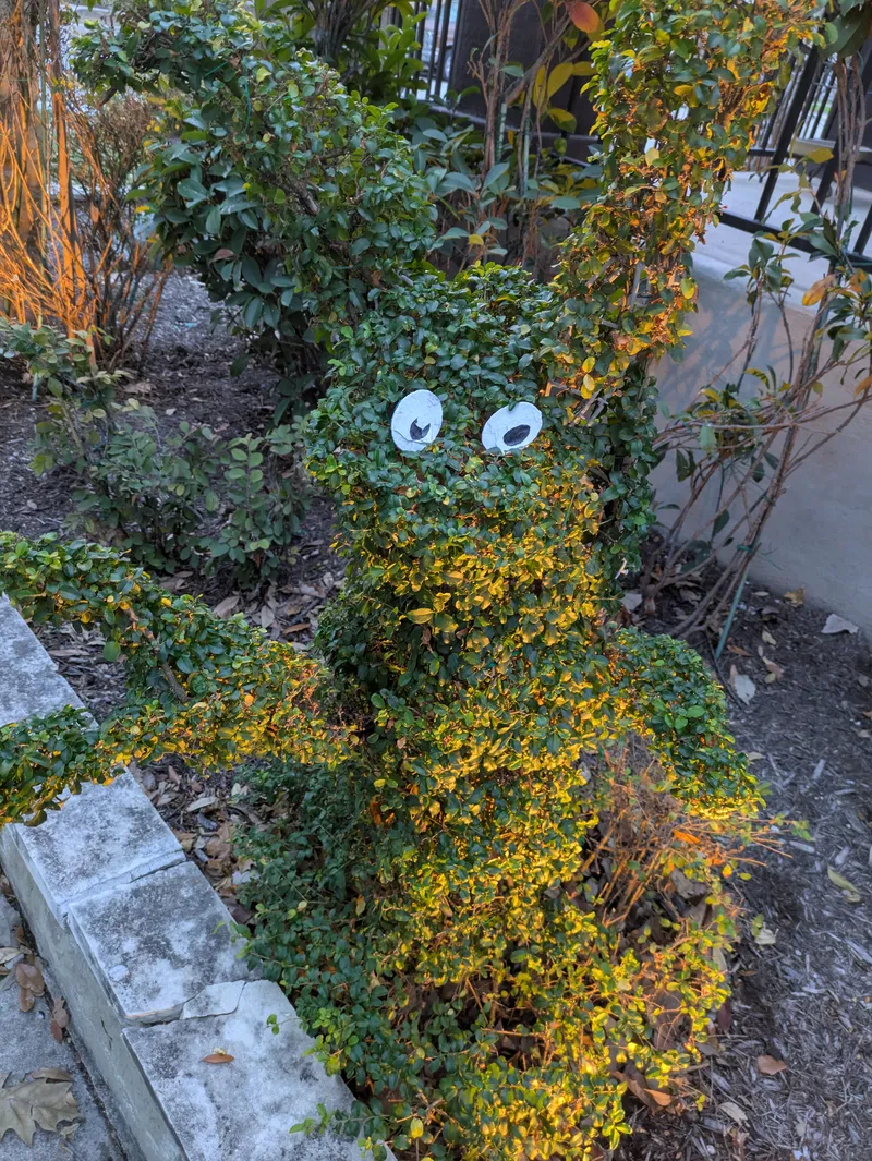 Photo of Mueller Topiary