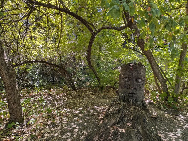 A carved wooden face on a tree stump in a sun-dappled forest clearing.