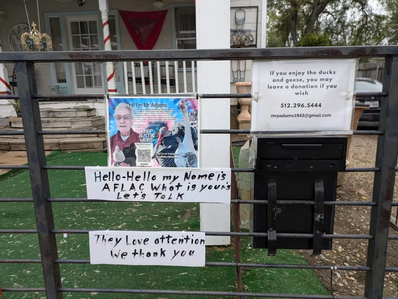 A sign on a gate advertises Mr. Adams and his ducks, geese, chickens, and turkeys, with donation information.
