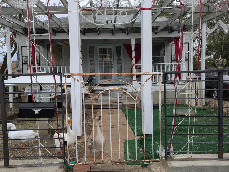 A house with a porch, a fence, and geese in the yard.