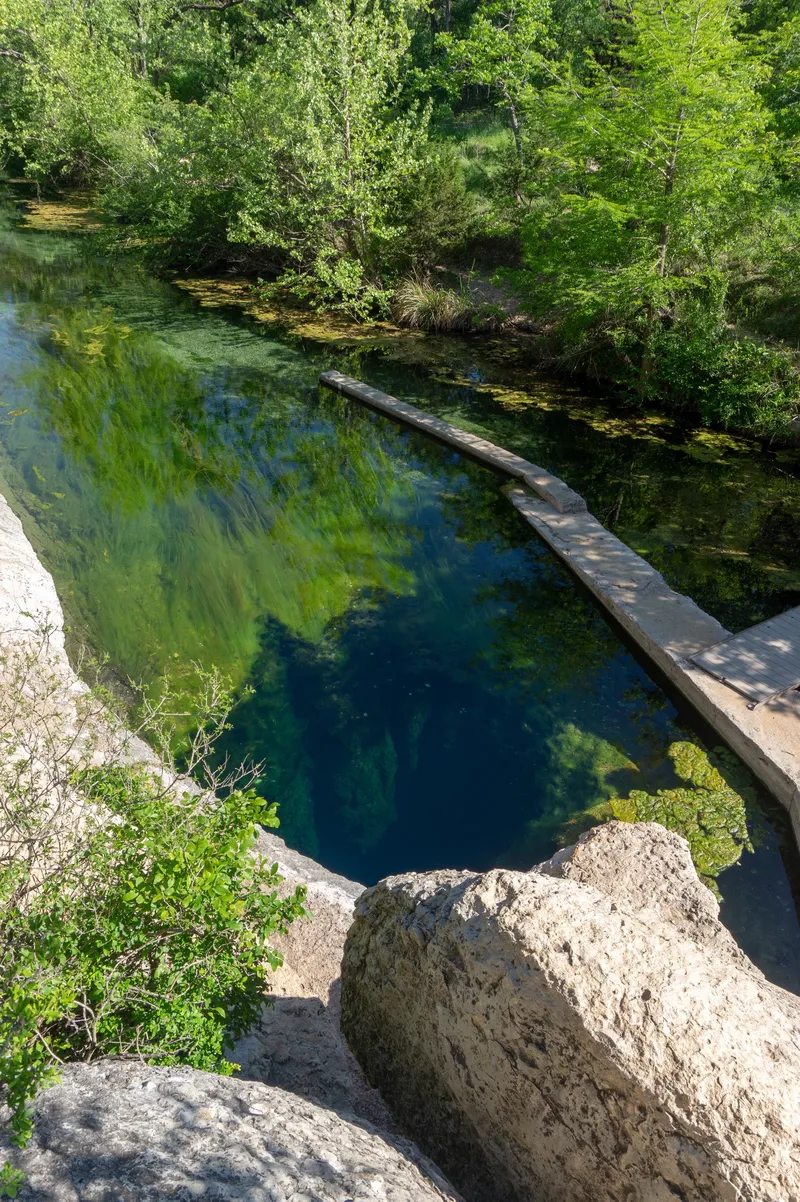 A clear blue spring with lush green trees and vegetation surrounding it.