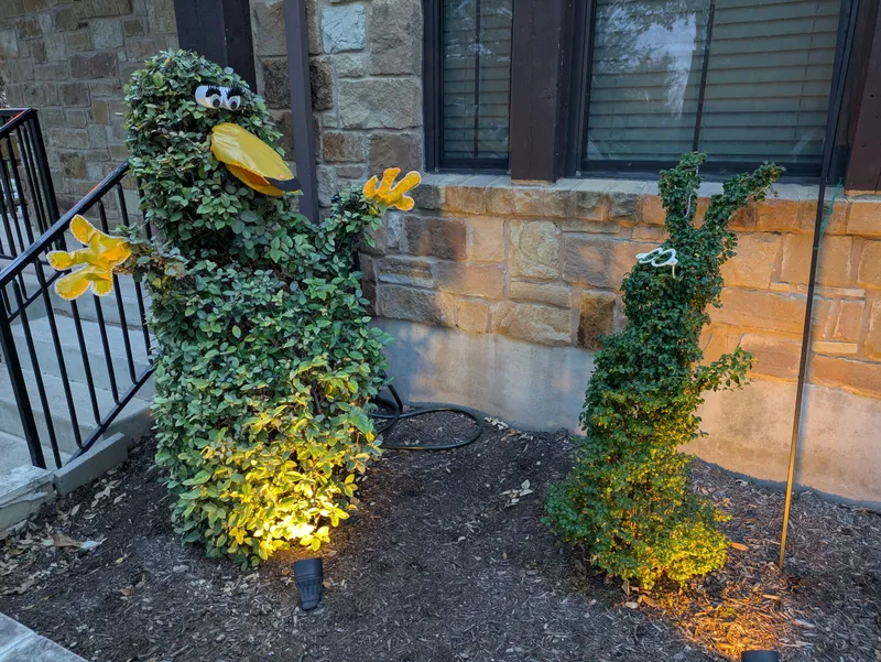 Mueller Topiary