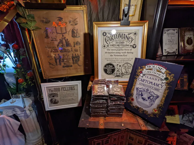 A collection of antique-style frames and books, including "Curia Arcanum's House of Curiosities," are displayed on a wooden chest.
